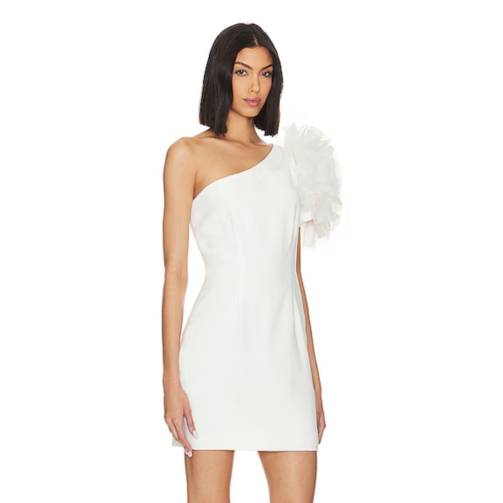 Anthropologie Calista Dress in White by Ronny Kobo